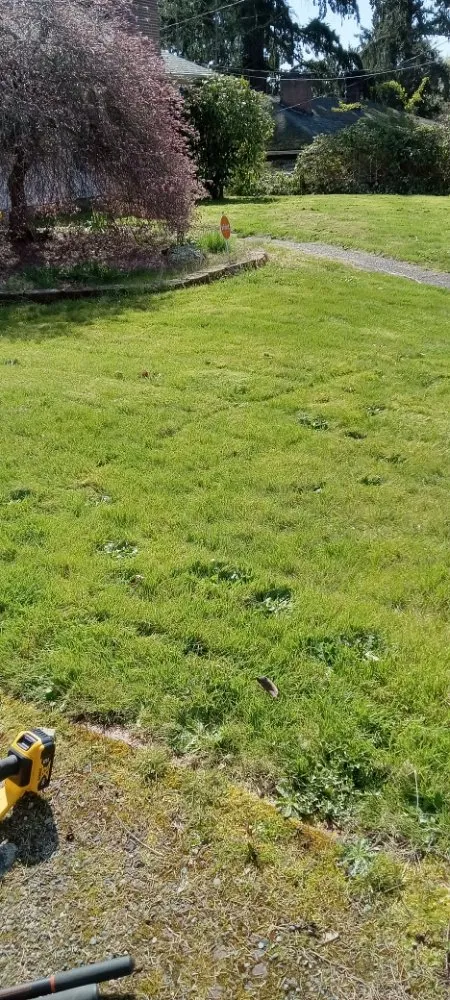 Top-rated yard maintenance in Bremerton, WA by Mariano Landscaping