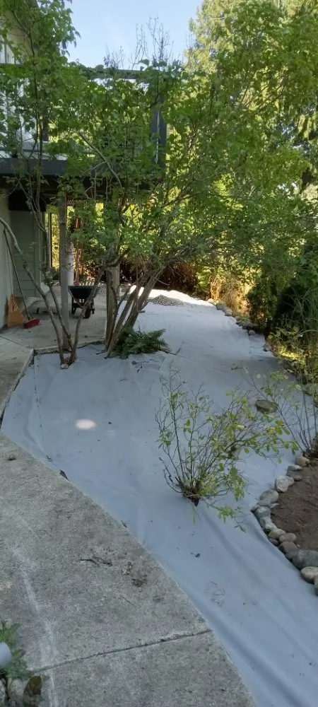 Custom outdoor landscaping in Bremerton, WA by Mariano Landscaping