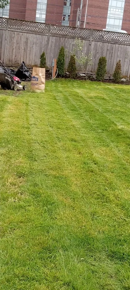 Trusted landscaping services experts serving Bremerton, WA - Mariano Landscaping