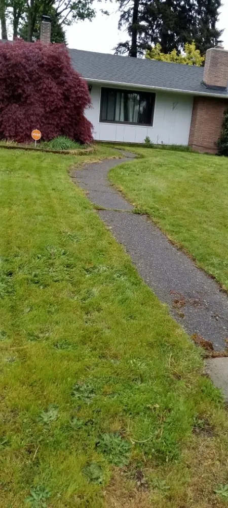 Local landscaping services in Bremerton, WA by Mariano Landscaping