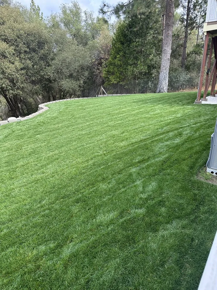 Reliable landscaping services experts serving El Dorado, CA - Mariano Landscaping Maintenance