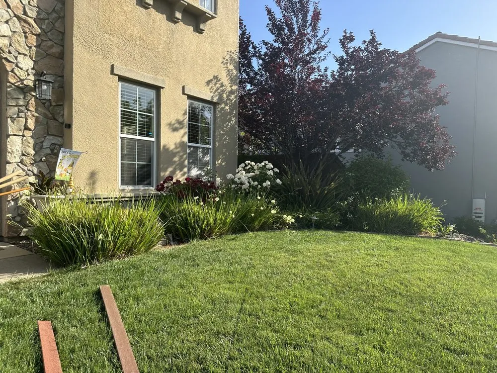 Local landscaping services for year-round maintenance across El Dorado, CA - Mariano Landscaping Maintenance