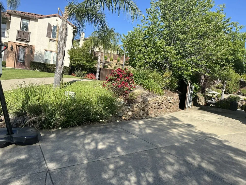 Custom yard maintenance near you across El Dorado, CA - Mariano Landscaping Maintenance