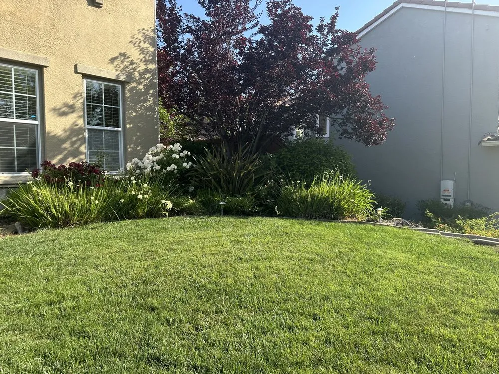 Custom lawn care service in El Dorado, CA - Mariano Landscaping Maintenance