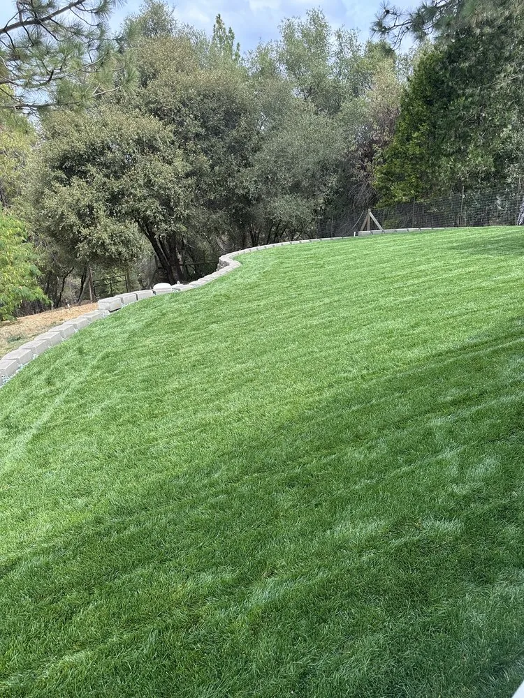 Affordable landscape installation in El Dorado, CA - Mariano Landscaping Maintenance