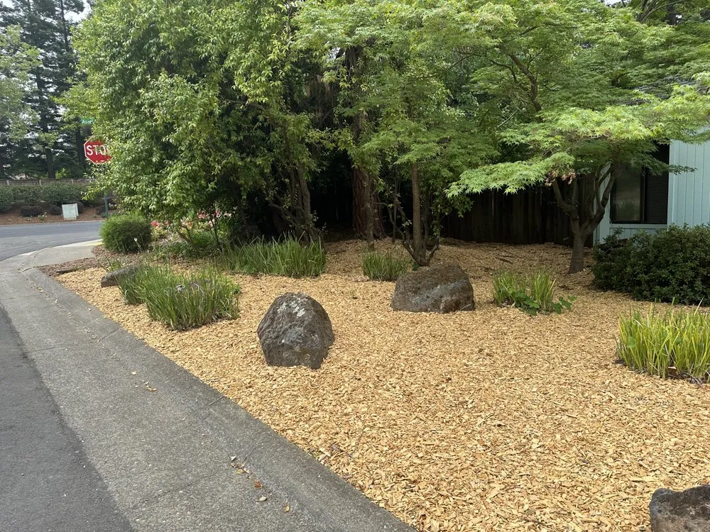 Top-rated lawn mowing service for residential properties in El Dorado, CA by Mariano Landscaping Maintenance
