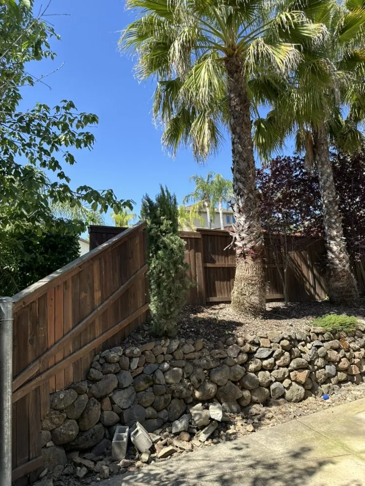 Affordable lawn care service for beautiful yards in El Dorado, CA by Mariano Landscaping Maintenance
