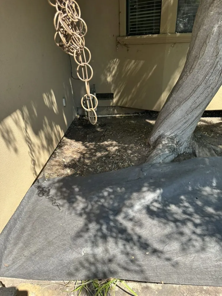 Trusted landscape installation with custom design in El Dorado, CA by Mariano Landscaping Maintenance