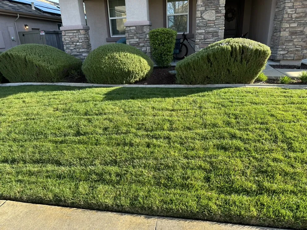 Top-rated outdoor landscaping for residential properties in El Dorado, CA by Mariano Landscaping Maintenance