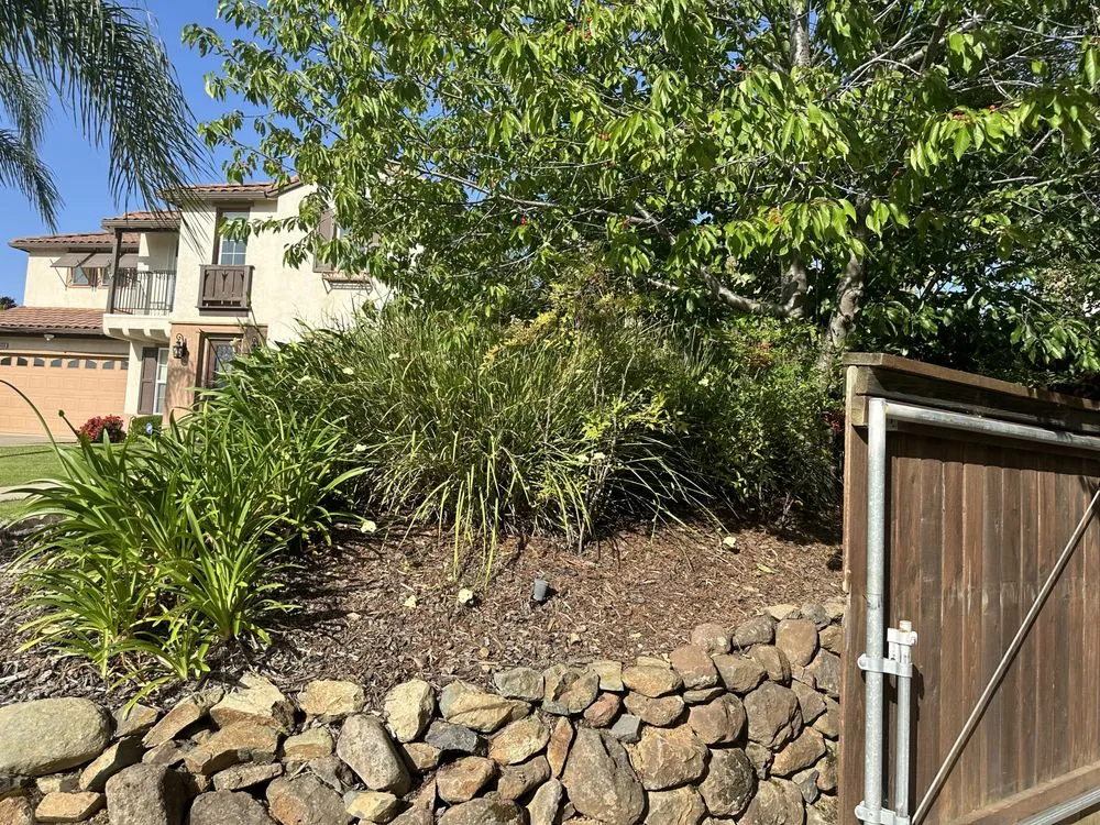 Trusted garden landscaping in El Dorado, CA by Mariano Landscaping Maintenance