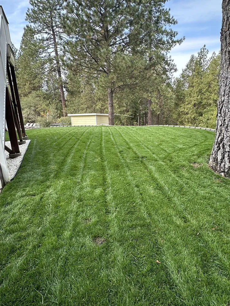 Trusted lawn care service for residential properties in El Dorado, CA by Mariano Landscaping Maintenance
