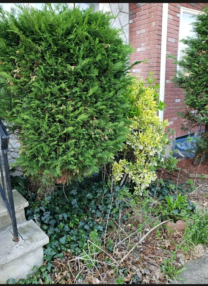 Local residential landscaping with custom design across Newark, NJ - Mariano Reyes And Son Landscaping