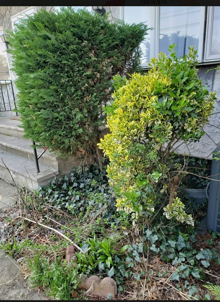 Professional landscape installation for homes across Newark, NJ - Mariano Reyes And Son Landscaping