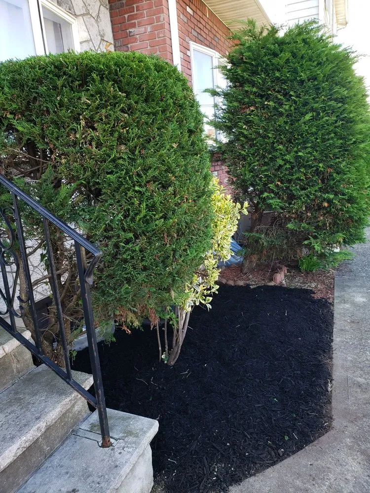 Trusted outdoor landscaping for outdoor upgrades across Newark, NJ - Mariano Reyes And Son Landscaping