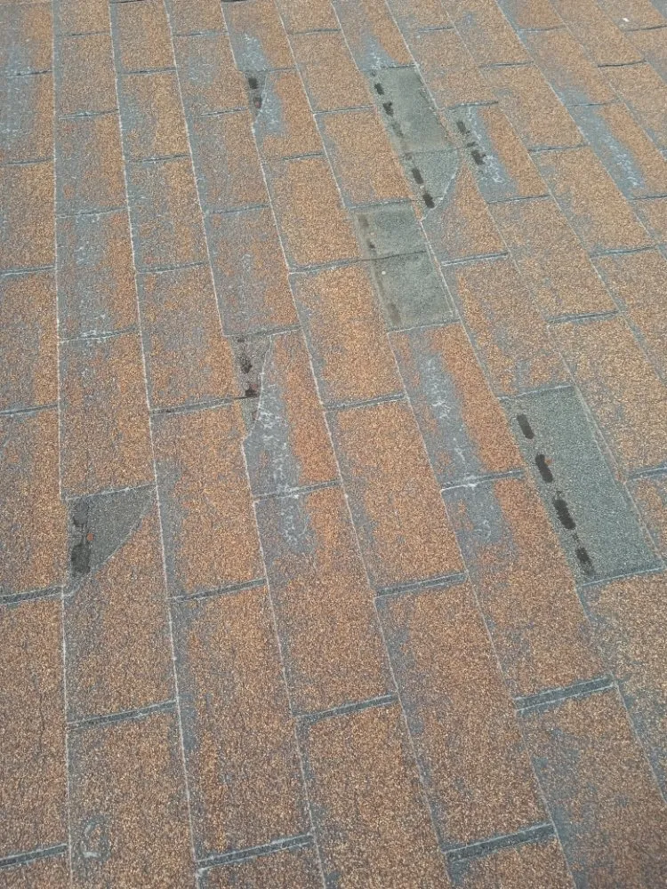 Custom landscaping services experts serving Moreno Valley, CA - Mariano Silva Landscaping