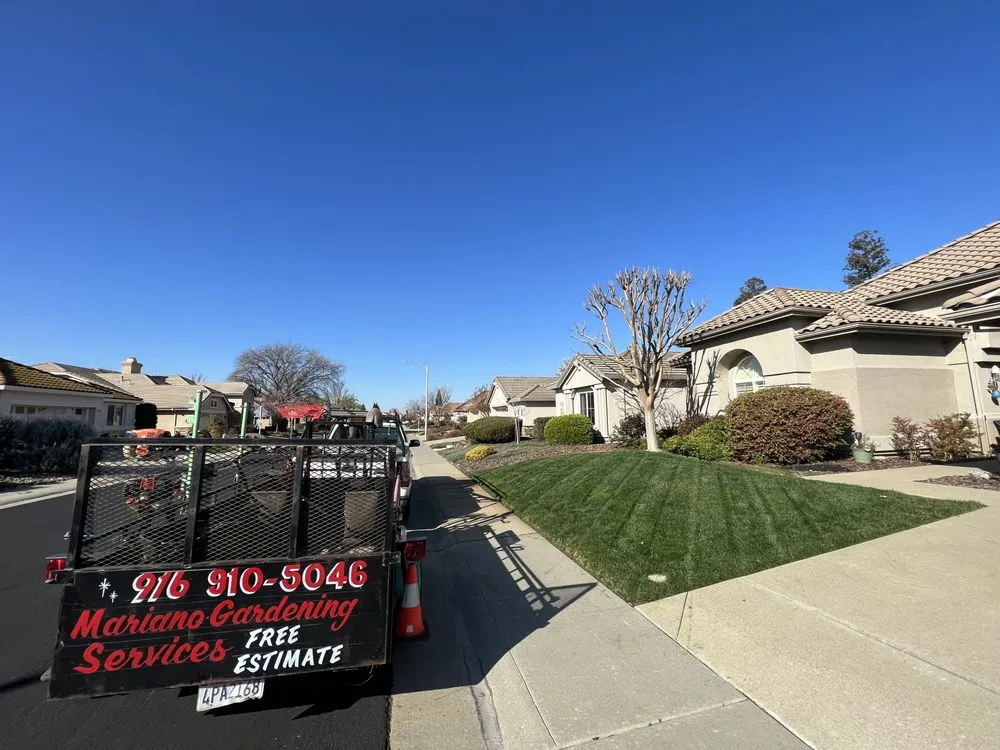 Expert yard cleanup service near you in Foothill Farms, CA by Mariano's Gardening Service