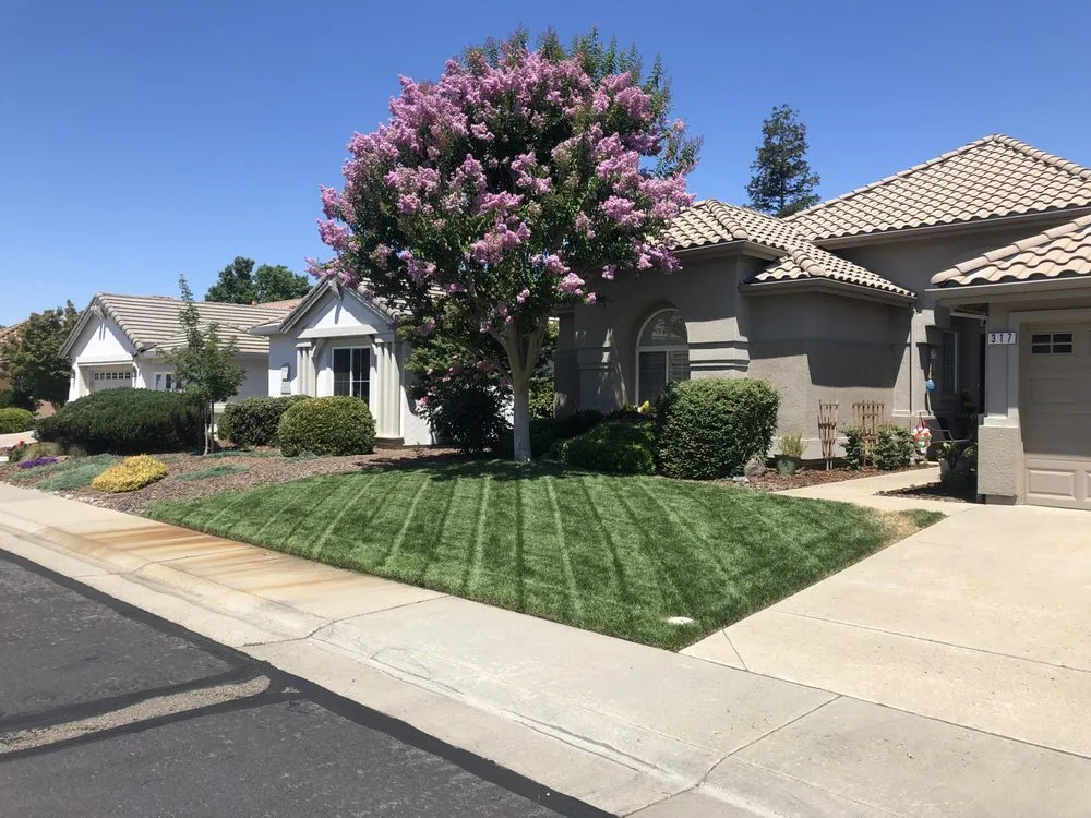 Top-rated outdoor landscaping in Foothill Farms, CA by Mariano's Gardening Service