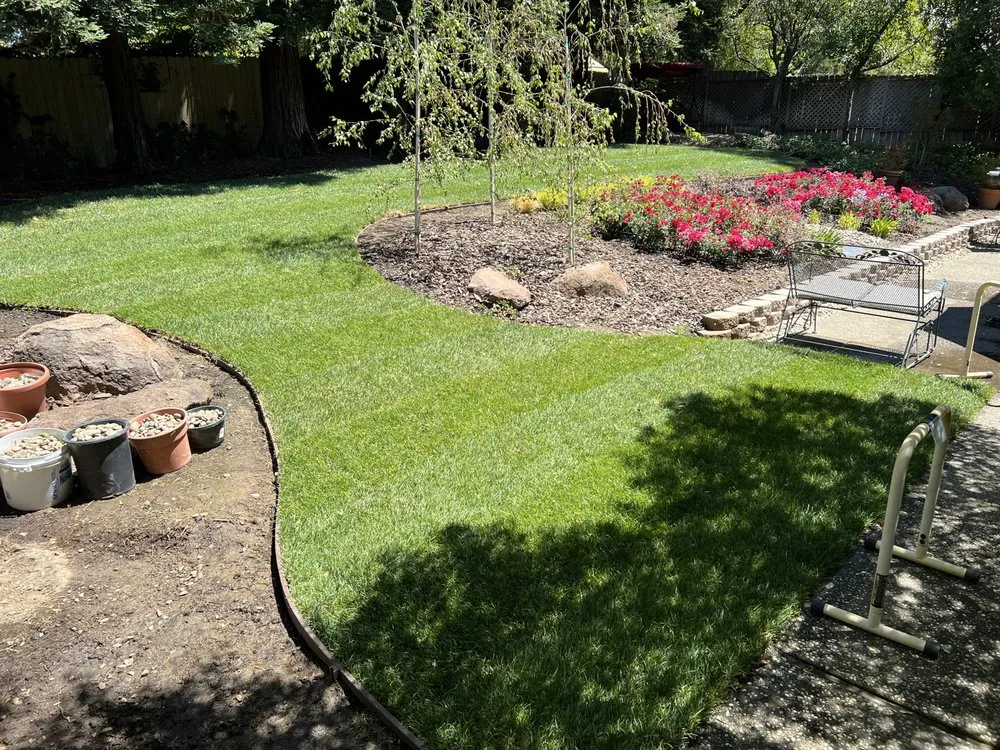Custom landscape design in Foothill Farms, CA - Mariano's Gardening Service