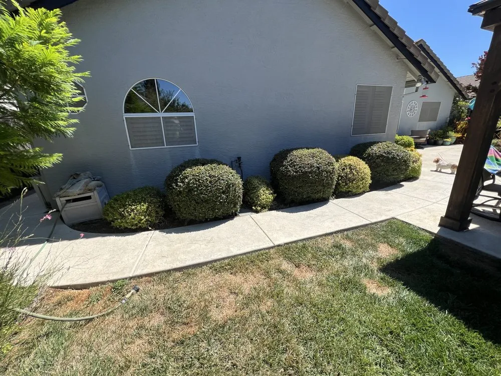 Top-rated landscape installation for beautiful yards across Foothill Farms, CA - Mariano's Gardening Service