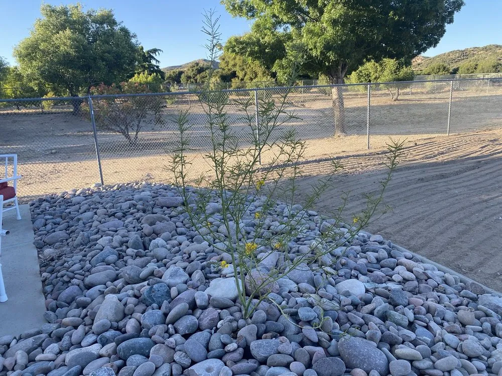 Affordable landscape design in Moreno Valley, CA - Mariano's Landscape