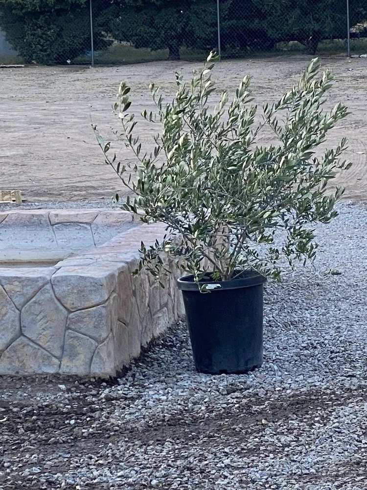 Reliable residential landscaping in Moreno Valley, CA - Mariano's Landscape