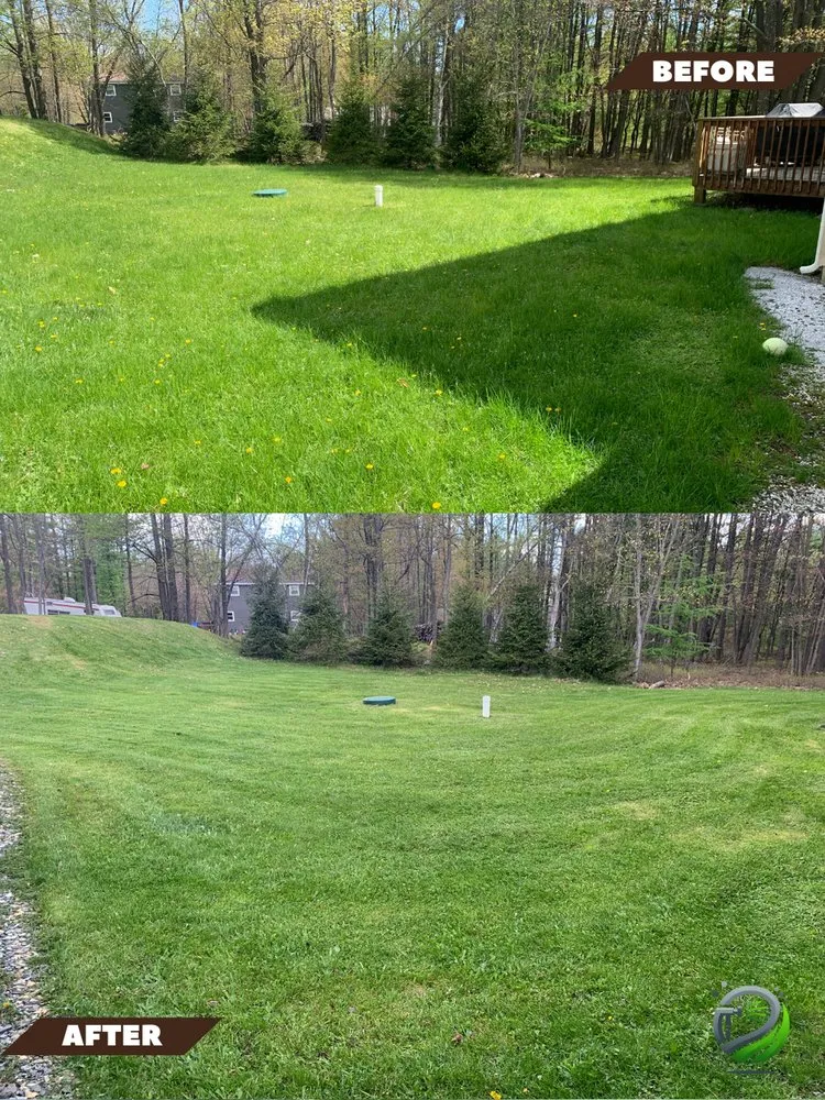 Reliable landscape installation experts serving Effort, PA - Marian's Grass Cutting Services