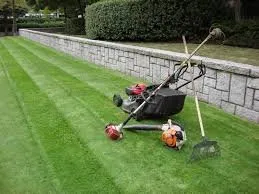Top-rated lawn care service for homes across Tyler, TX - Maria’s landscapes and building maintenance