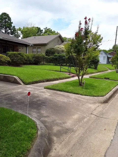 Local lawn mowing service near you in Tyler, TX by Maria’s landscapes and building maintenance