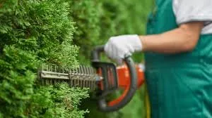 Reliable yard maintenance for year-round maintenance in Tyler, TX by Maria’s landscapes and building maintenance