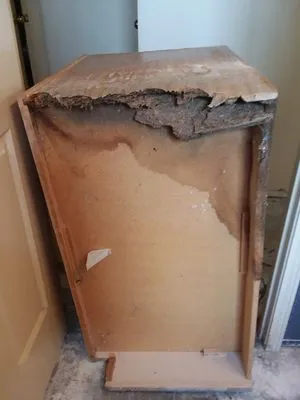 Maria’s landscapes and building maintenance