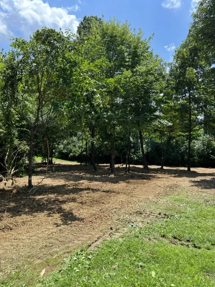 Professional residential landscaping experts serving Hamilton, OH - Maricle construction land management