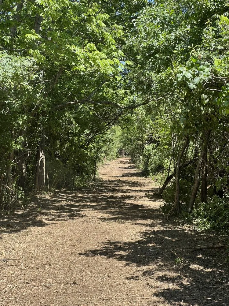 Reliable yard cleanup service for outdoor upgrades across Hamilton, OH - Maricle construction land management