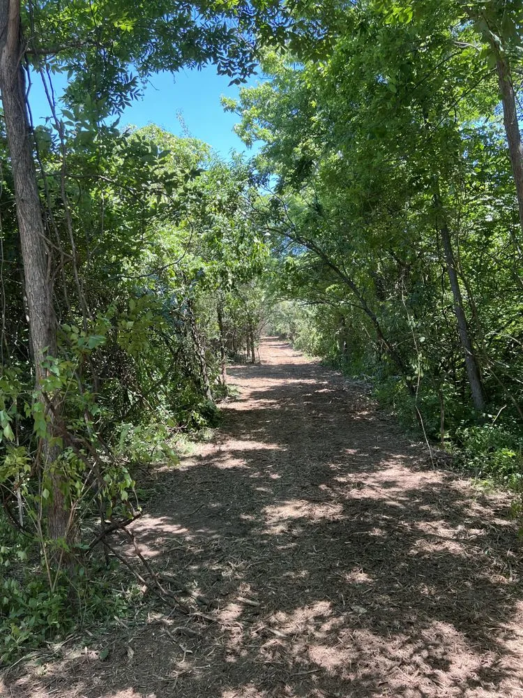 Expert landscaping services for homes across Hamilton, OH - Maricle construction land management