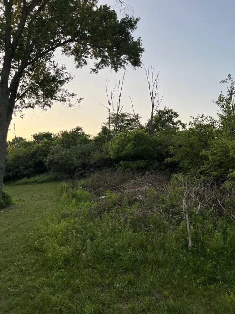 Top-rated landscape design in Hamilton, OH - Maricle construction land management