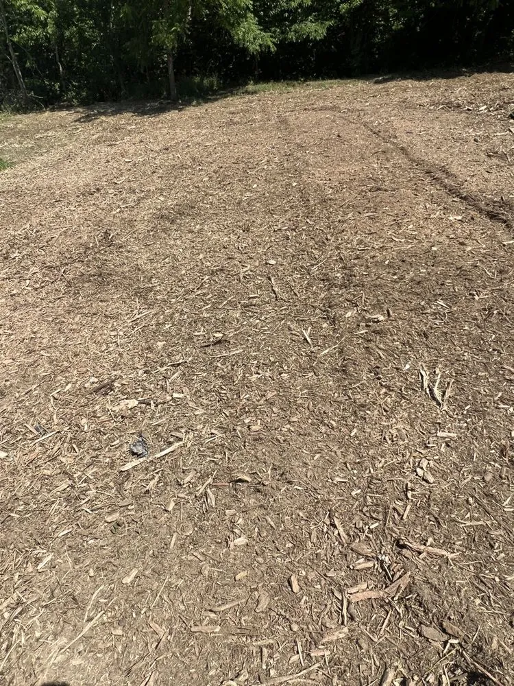 Trusted landscaping services for homes across Hamilton, OH - Maricle construction land management