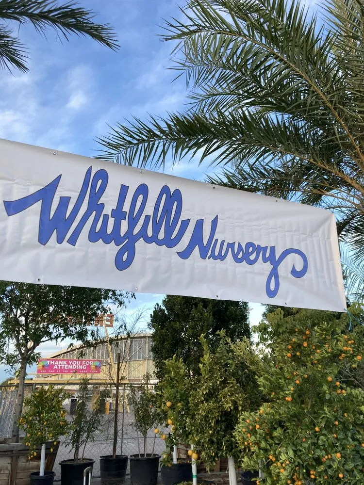 Affordable outdoor landscaping with custom design across Phoenix, AZ - Maricopa County Home Shows