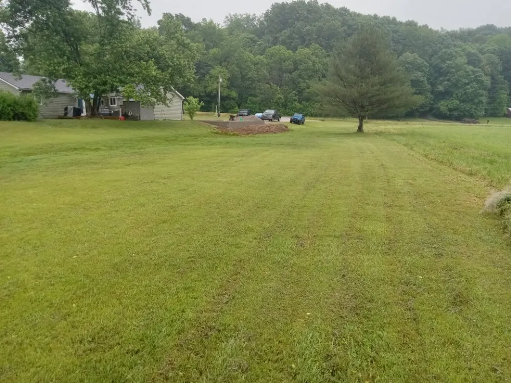 Custom yard cleanup service for beautiful yards in OH, OH by Marietta  Ohio