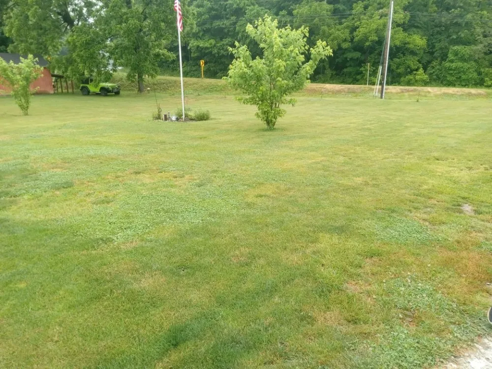 Reliable yard cleanup service in OH, OH by Marietta  Ohio