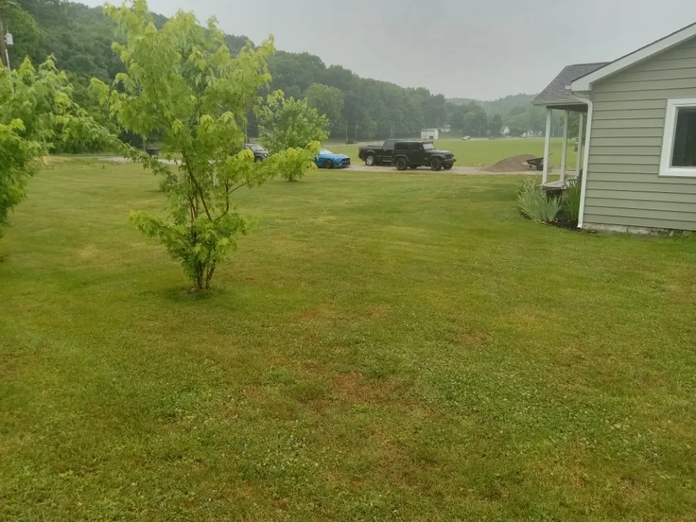 Reliable lawn mowing service experts serving OH, OH - Marietta  Ohio