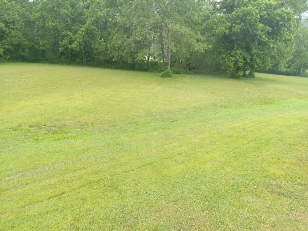 Local yard maintenance for year-round maintenance in OH, OH by Marietta  Ohio