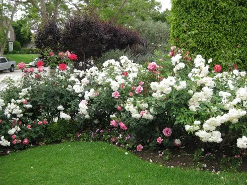 Affordable landscape design for residential properties across Stone Mountain, GA - Marietta Superior Landscapes