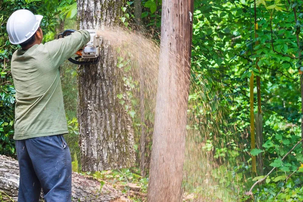 Custom garden landscaping experts serving Acworth, GA - Marietta Tree Service
