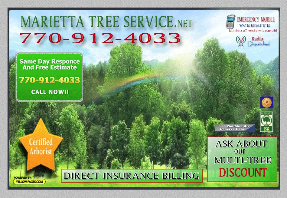 Reliable lawn mowing service for residential properties across Acworth, GA - Marietta Tree Service