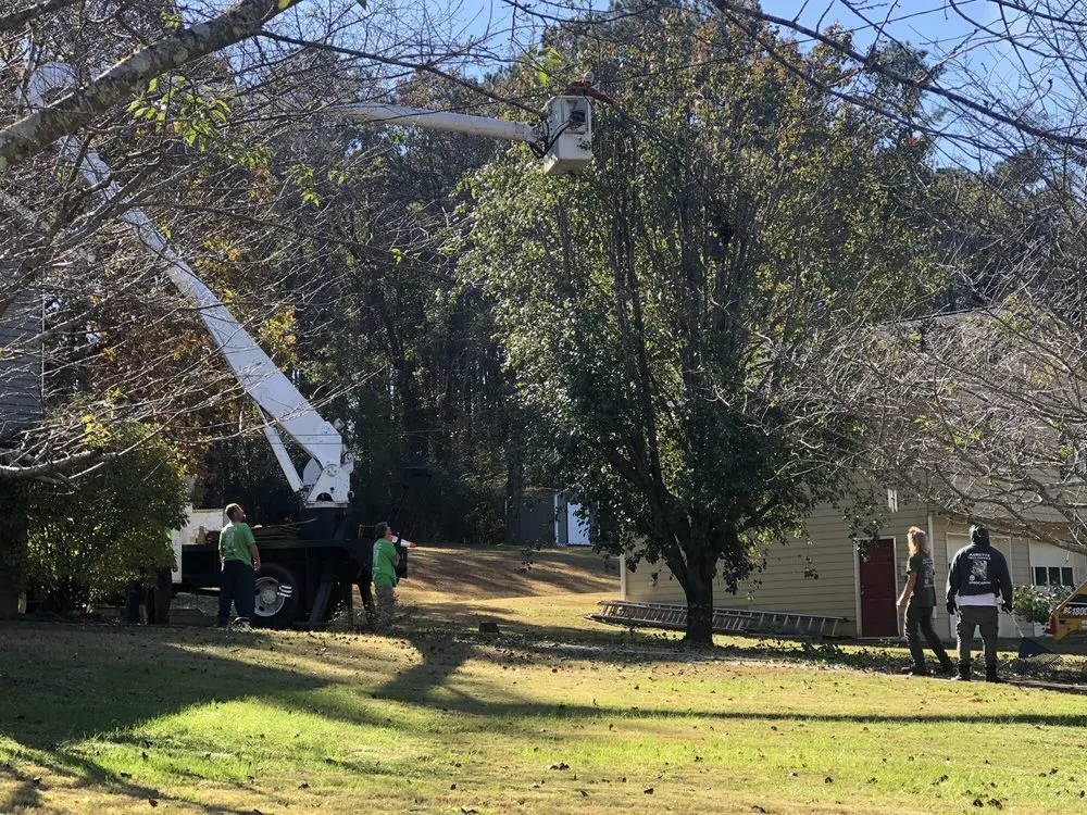 Local yard maintenance experts serving Acworth, GA - Marietta Tree Service
