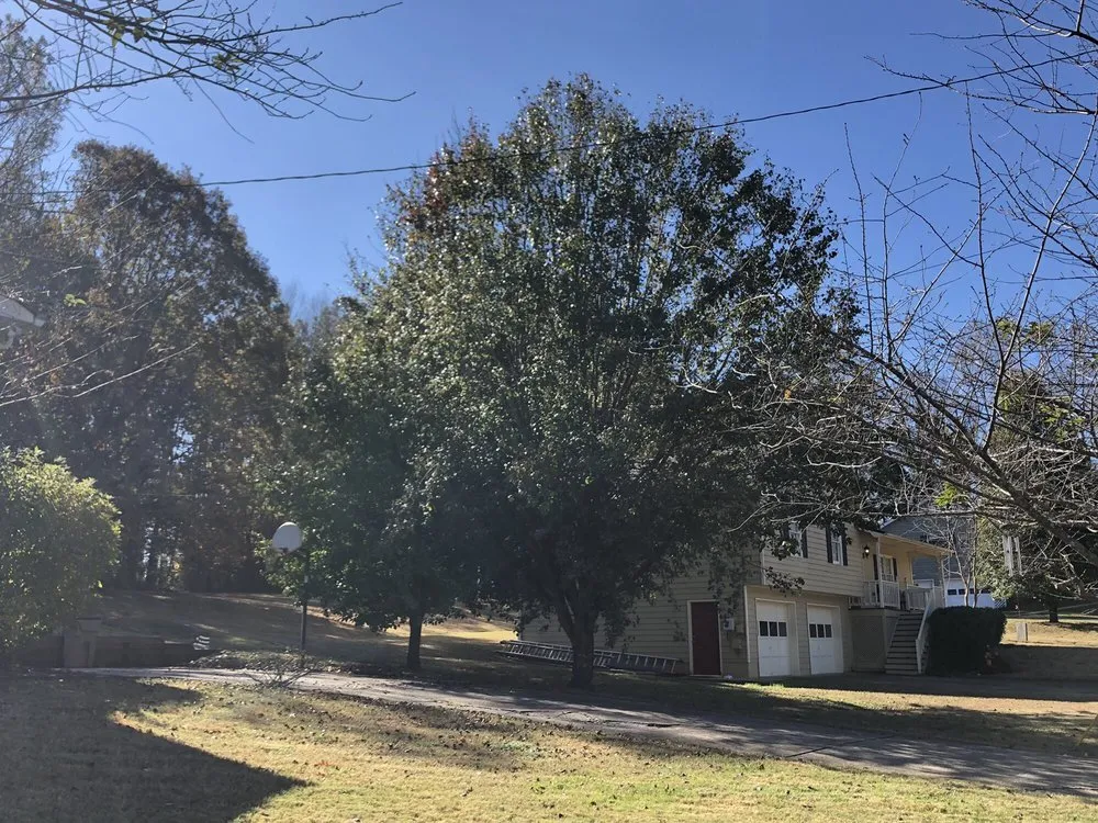 Professional landscape installation for homes across Acworth, GA - Marietta Tree Service