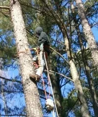 Professional landscaping services for residential properties across Acworth, GA - Marietta Tree Service