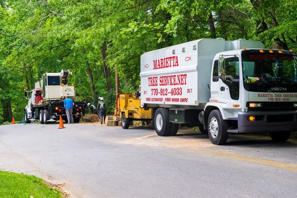 Top-rated yard cleanup service with custom design in Acworth, GA by Marietta Tree Service