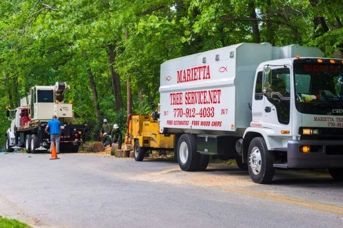 Affordable lawn care service for beautiful yards across Acworth, GA - Marietta Tree Service