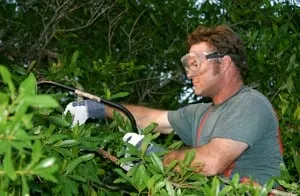 Professional landscaping services in Acworth, GA by Marietta Tree Service