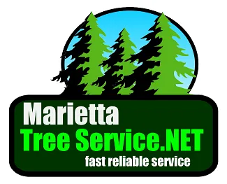 Affordable lawn care service in Acworth, GA by Marietta Tree Service